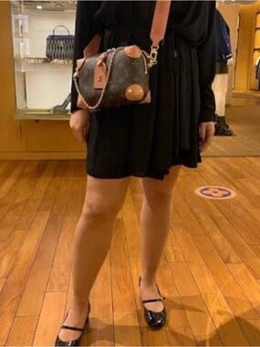 Louis Vuitton Monogram Mini Bag with Tan Accents